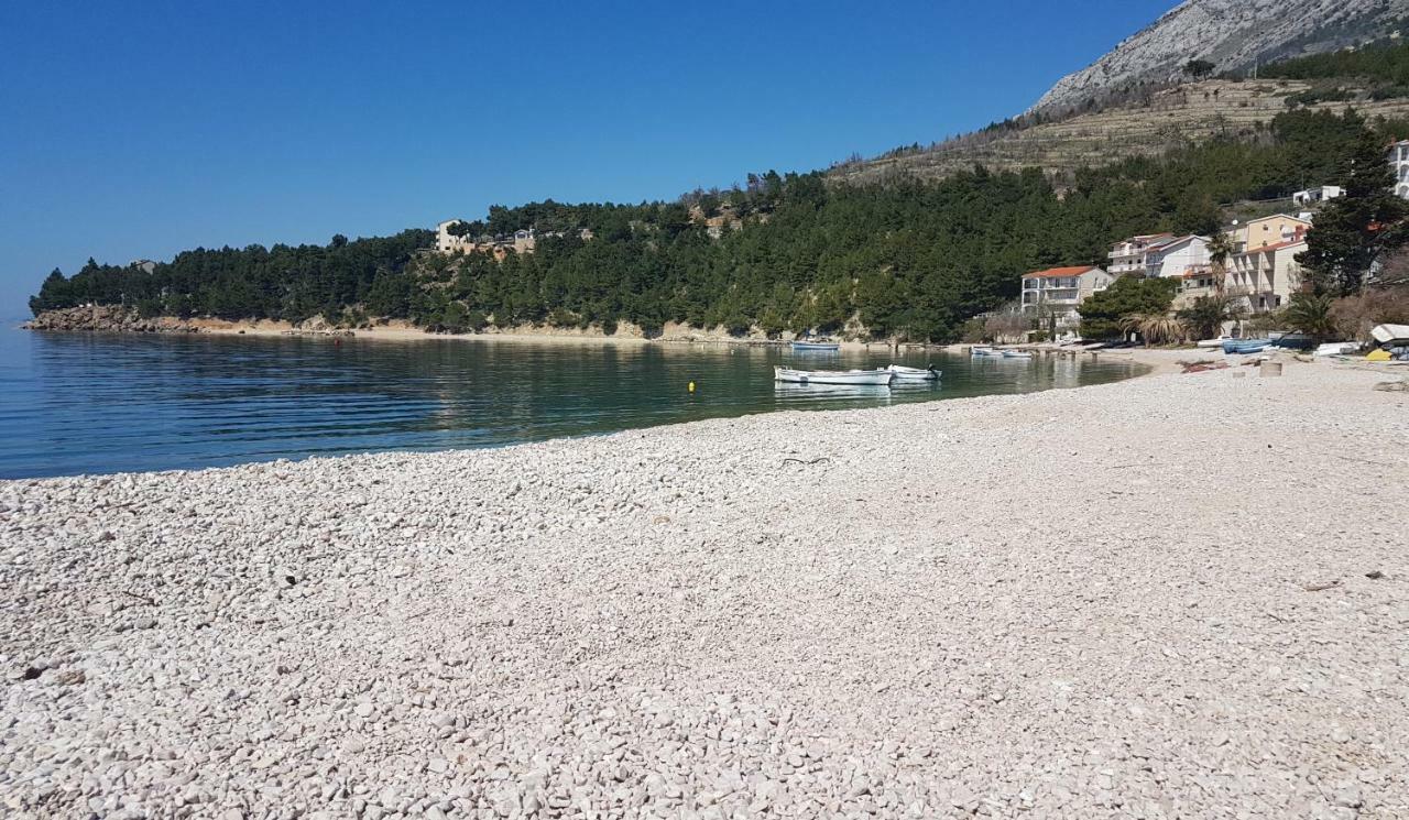 Dalibor, - Omis *